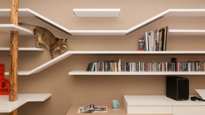 Apartamente pentru pisici – la moda in Asia