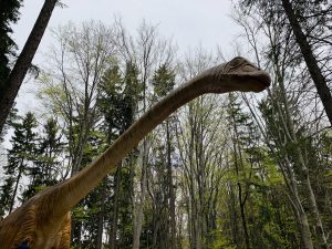 Dino Parc