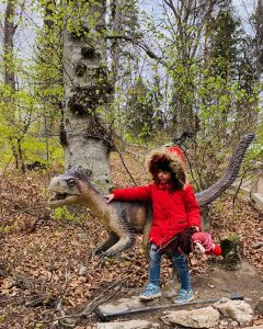 Dino Parc