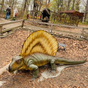 Dino Parc