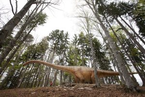 Dino Parc