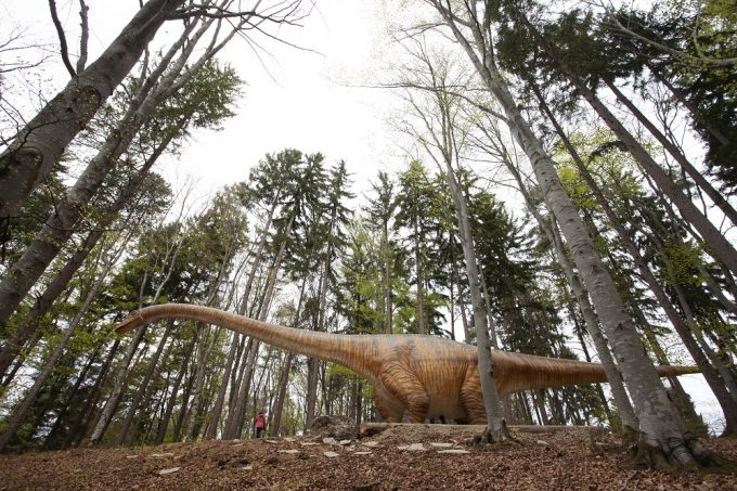 Vino la Dino Parc Râșnov să vezi cel mai mare dinozaur din lume