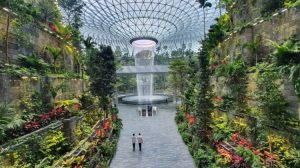 aeroportul Changi gradini tropicale