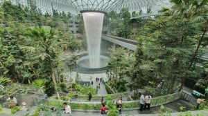 aeroportul Changi padure tropicala