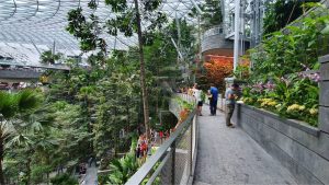 aeroportul Changi trasee