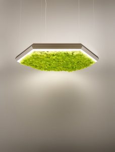 izolarea fonică Exagon Silence Green