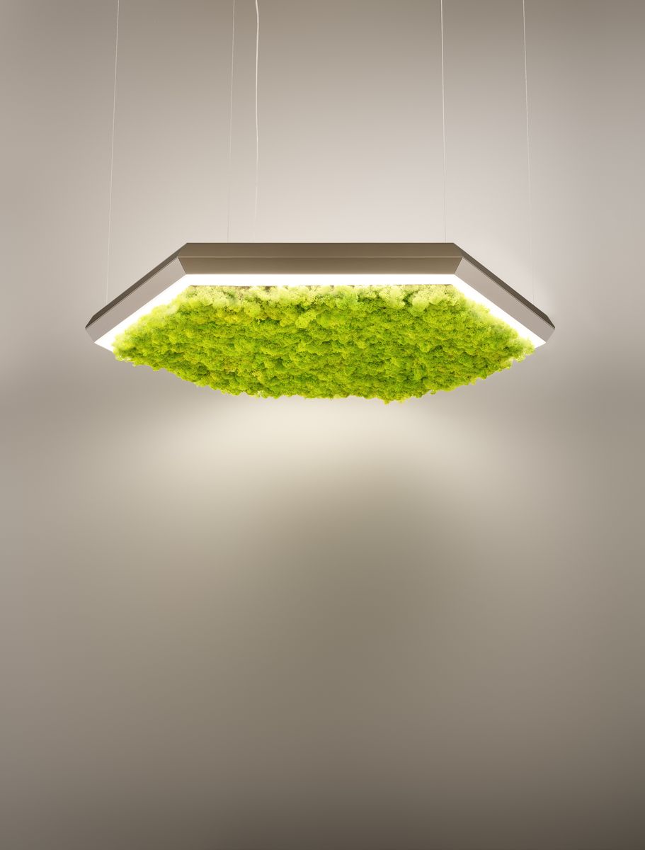izolarea fonică Exagon Silence Green