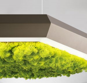 izolarea fonică Exagon Silence Green