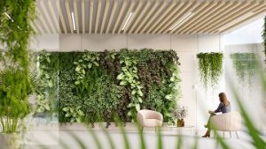 eficienta energetica Philips